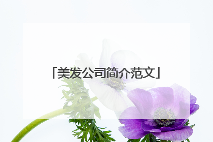 美发公司简介范文
