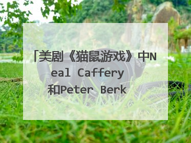 美剧《猫鼠游戏》中Neal Caffery和Peter Berke的扮演者是谁？