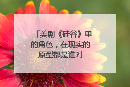 美剧《硅谷》里的角色，在现实的原型都是谁?