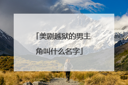 美剧越狱的男主角叫什么名字