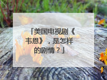 美国电视剧《韦恩》,是怎样的剧情?