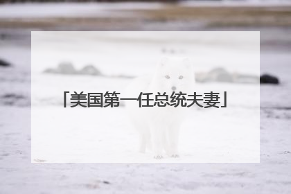 美国第一任总统夫妻