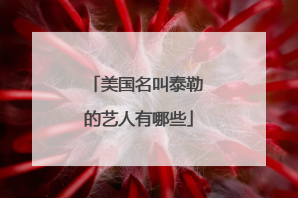 美国名叫泰勒的艺人有哪些