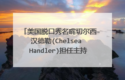 美国脱口秀名嘴切尔西-汉德勒(Chelsea Handler)担任主持人,她也藉此成为美国首屈一指的金牌女主持人。