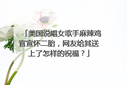 美国说唱女歌手麻辣鸡官宣怀二胎,网友给其送上了怎样的祝福?