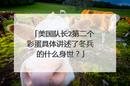 美国队长2第二个彩蛋具体讲述了冬兵的什么身世?