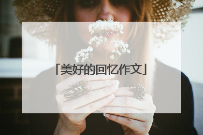 美好的回忆作文
