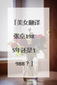 美女翻译张京1985年还是1988?
