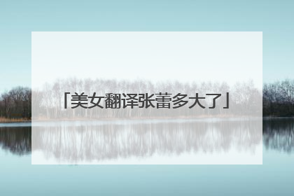 美女翻译张蕾多大了