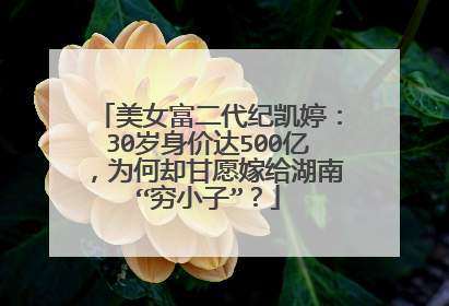 美女富二代纪凯婷:30岁身价达500亿,为何却甘愿嫁给湖南“穷小子”?