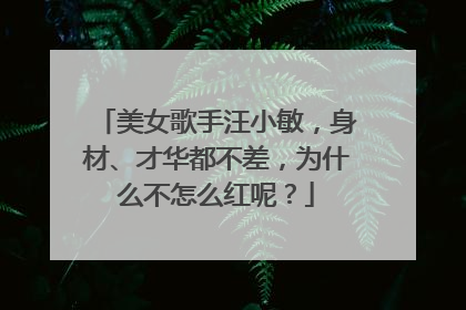 美女歌手汪小敏,身材、才华都不差,为什么不怎么红呢?