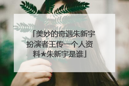 美妙的奇遇朱新宇扮演者王传一个人资料★朱新宇是谁