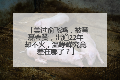 美过俞飞鸿,被黄磊夸赞,出道22年却不火,温峥嵘究竟差在哪了?