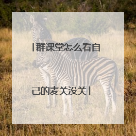 群课堂怎么看自己的麦关没关