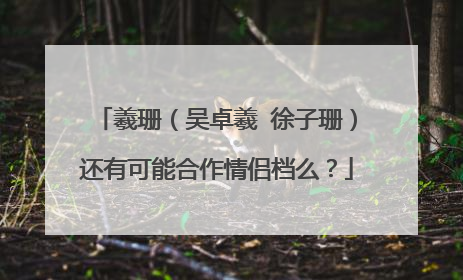 羲珊（吴卓羲 徐子珊）还有可能合作情侣档么？