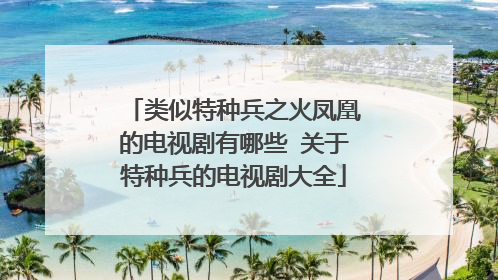 类似特种兵之火凤凰的电视剧有哪些 关于特种兵的电视剧大全