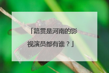 籍贯是河南的影视演员都有谁?