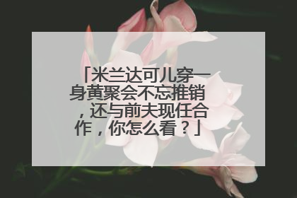 米兰达可儿穿一身黄聚会不忘推销，还与前夫现任合作，你怎么看？