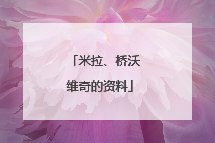 米拉、桥沃维奇的资料