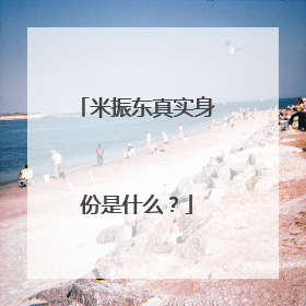 米振东真实身份是什么?