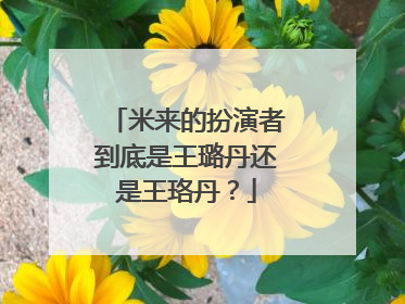 米来的扮演者到底是王璐丹还是王珞丹？