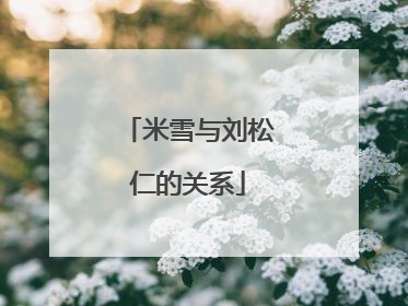 米雪与刘松仁的关系