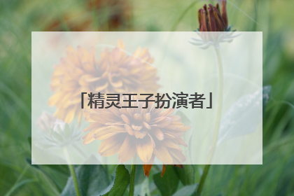 精灵王子扮演者