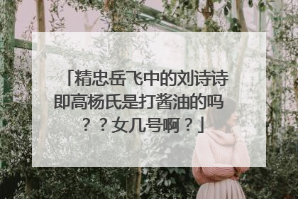 精忠岳飞中的刘诗诗即高杨氏是打酱油的吗??女几号啊?