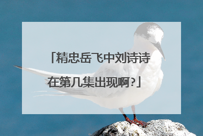 精忠岳飞中刘诗诗在第几集出现啊?