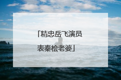 精忠岳飞演员表秦桧老婆