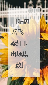 精忠岳飞 梁红玉出场集数