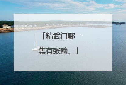 精武门哪一集有张翰、