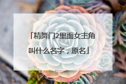 精舞门2里面女主角叫什么名字，原名