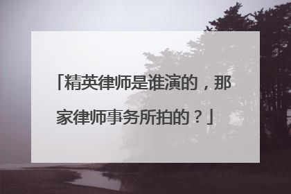 精英律师是谁演的，那家律师事务所拍的？