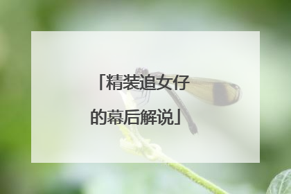 精装追女仔的幕后解说