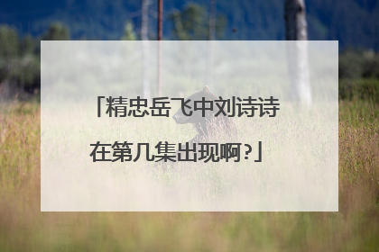 精忠岳飞中刘诗诗在第几集出现啊?