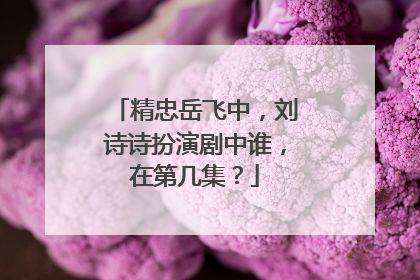 精忠岳飞中，刘诗诗扮演剧中谁，在第几集？