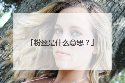 粉丝是什么意思？