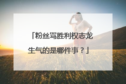 粉丝骂胜利权志龙生气的是哪件事？
