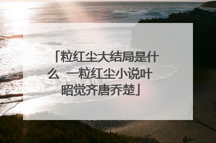 粒红尘大结局是什么 一粒红尘小说叶昭觉齐唐乔楚