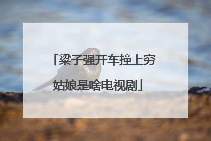 粱子强开车撞上穷姑娘是啥电视剧