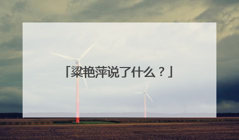 粱艳萍说了什么?