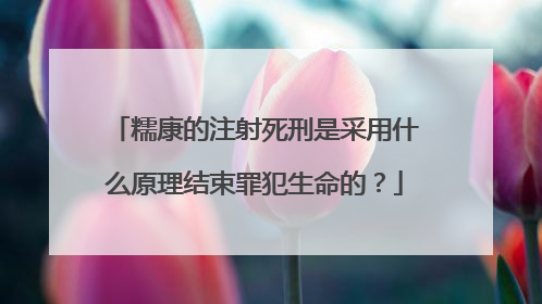 糯康的注射死刑是采用什么原理结束罪犯生命的？