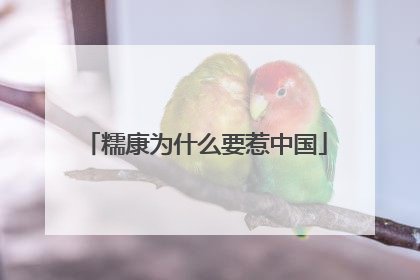 糯康为什么要惹中国