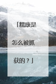 糯康是怎么被抓获的？