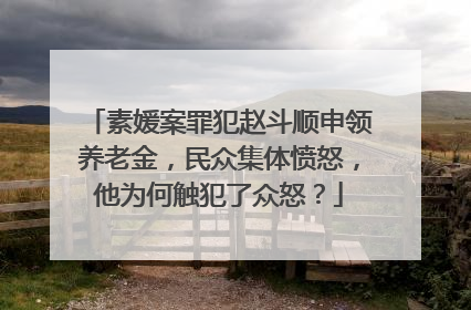 素媛案罪犯赵斗顺申领养老金，民众集体愤怒，他为何触犯了众怒？