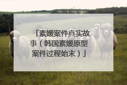 素媛案件真实故事（韩国素媛原型案件过程始末）