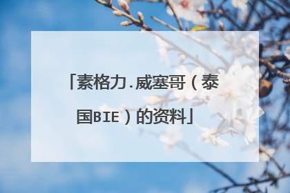 素格力.威塞哥(泰国BIE)的资料