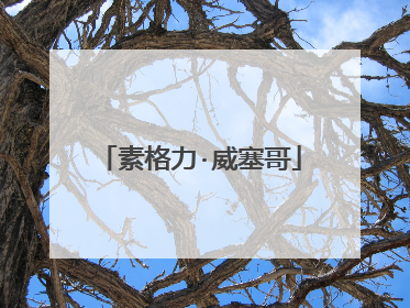 素格力·威塞哥