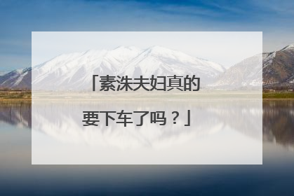 素洙夫妇真的要下车了吗？